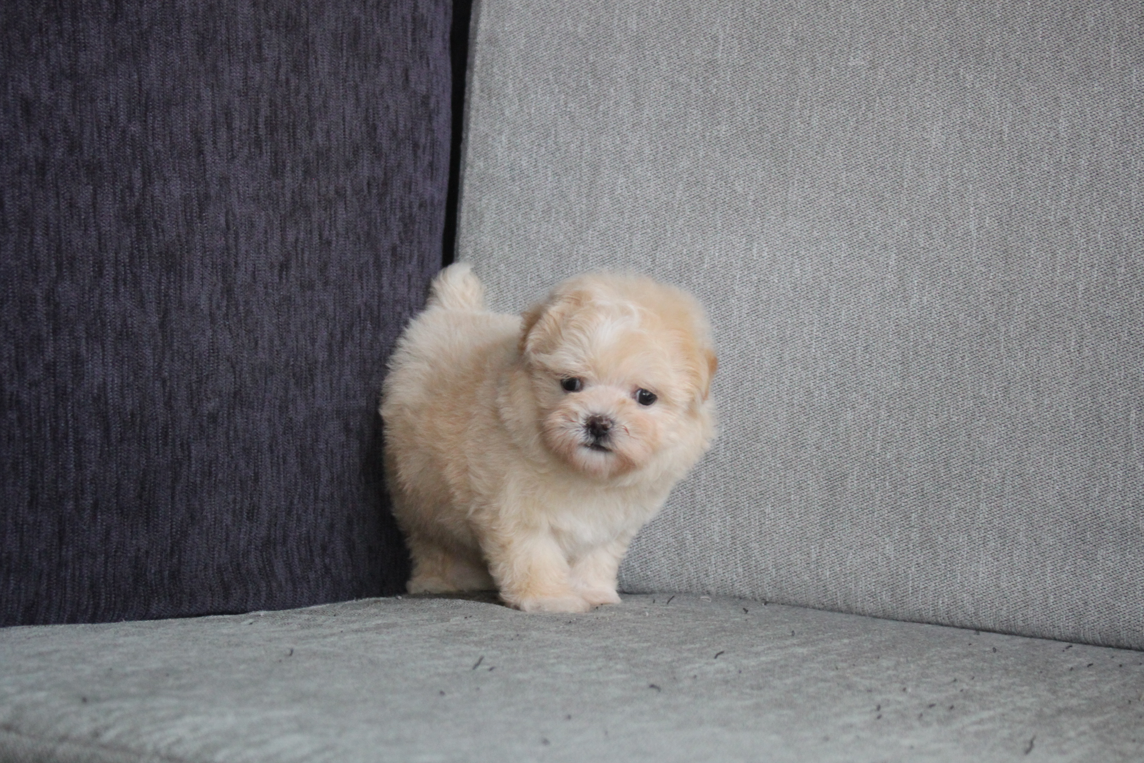 IMG_9316